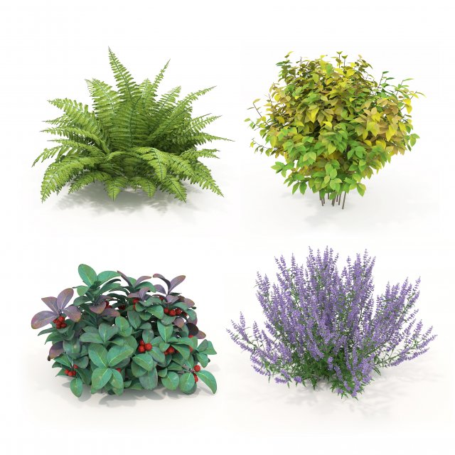 Realistic Shrub Bush Set 3 Model 3D .c4d .max .obj .3ds .fbx .stl .blend 