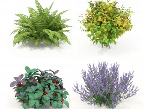 Conjunto de arbustos realistas 3 Modelo 3D