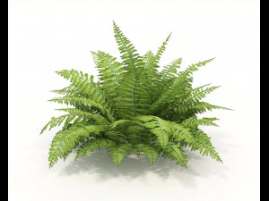 Realistic Shrub Bush Set 3 3D Model