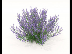 Realistic Shrub Bush Set 3 Model 3D