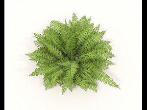 Realistic Shrub Bush Set 3 Model 3D