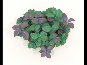 Realistic Shrub Bush Set 3 Model 3D