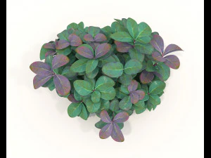 Realistic Shrub Bush Set 3 3D Model