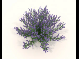 Realistic Shrub Bush Set 3 3D Model