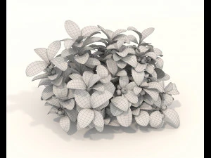 Realistic Shrub Bush Set 3 3D Model