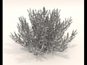Realistic Shrub Bush Set 3 Model 3D
