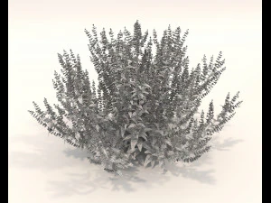 Realistic Shrub Bush Set 3 3D Model