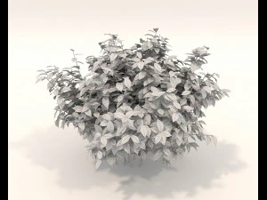 Realistic Shrub Bush Set 3 3D Model