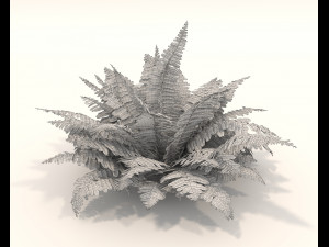 Realistic Shrub Bush Set 3 Model 3D