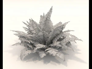 Realistic Shrub Bush Set 3 3D Model