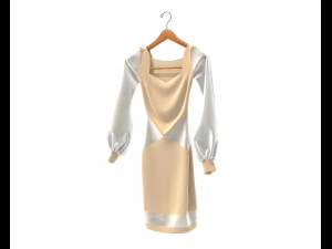 Dress on Hanger 10 3D Model