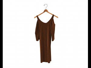 Dress on Hanger 10 3D Model