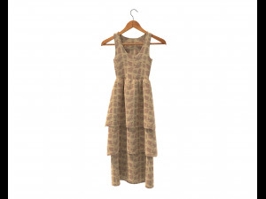 Dress on Hanger 10 Modelo 3D