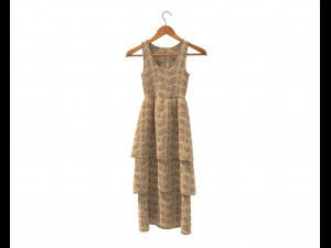 Dress on Hanger 10 3D Model