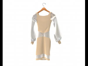 Dress on Hanger 10 3D Model