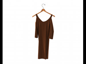 Dress on Hanger 10 Modelo 3D
