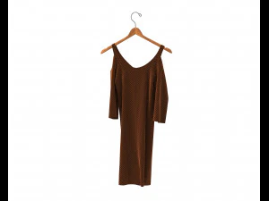 Dress on Hanger 10 3D Model