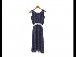 Dress on Hanger 10 Modelo 3D