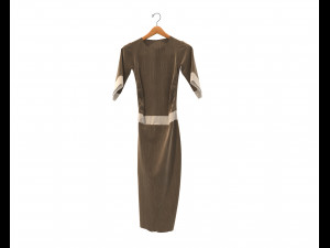 Dress on Hanger 11 3D 模型