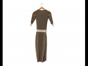 Dress on Hanger 11 3D 模型