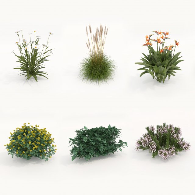 Realistic Shrub Bush Set 4 3D Model .c4d .max .obj .3ds .fbx .stl .blend 