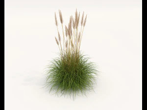 Realistyczny zestaw krzew&oacute;w 4 Model 3D