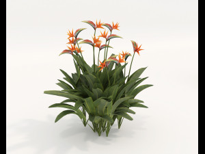 Realistic Shrub Bush Set 4 3D Model