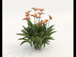 Realistyczny zestaw krzew&oacute;w 4 Model 3D