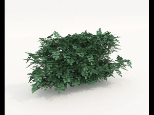 Realistyczny zestaw krzew&oacute;w 4 Model 3D