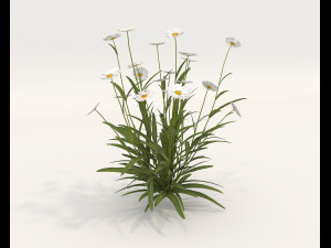 Realistic Shrub Bush Set 4 3D Model
