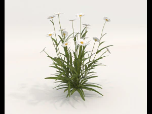 Realistyczny zestaw krzew&oacute;w 4 Model 3D