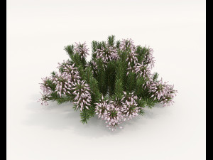 Realistic Shrub Bush Set 4 3D Model