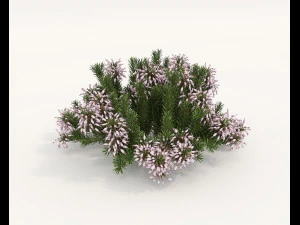 Realistyczny zestaw krzew&oacute;w 4 Model 3D