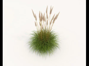 Realistyczny zestaw krzew&oacute;w 4 Model 3D