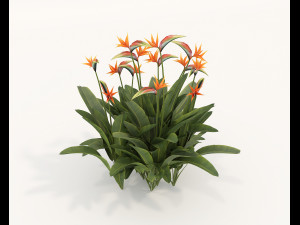 Realistic Shrub Bush Set 4 3D Model