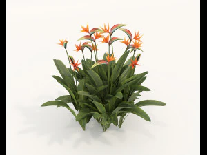 Realistyczny zestaw krzew&oacute;w 4 Model 3D