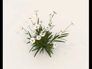 Realistyczny zestaw krzew&oacute;w 4 Model 3D