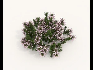 Realistyczny zestaw krzew&oacute;w 4 Model 3D