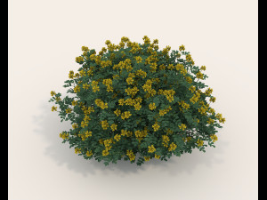 Realistic Shrub Bush Set 4 3D Model