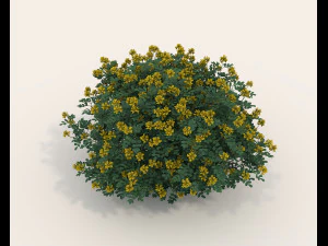 Realistyczny zestaw krzew&oacute;w 4 Model 3D