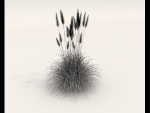 Realistic Shrub Bush Set 4 3D Model