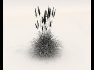 Realistyczny zestaw krzew&oacute;w 4 Model 3D