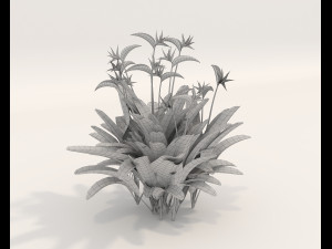 Realistic Shrub Bush Set 4 3D Model