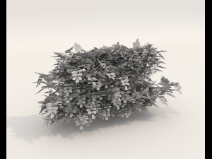 Realistic Shrub Bush Set 4 3D Model