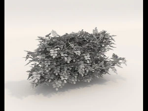 Realistyczny zestaw krzew&oacute;w 4 Model 3D