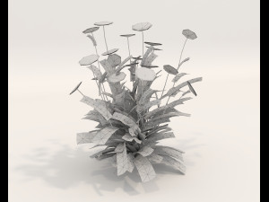 Realistic Shrub Bush Set 4 3D Model