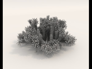 Realistic Shrub Bush Set 4 3D Model