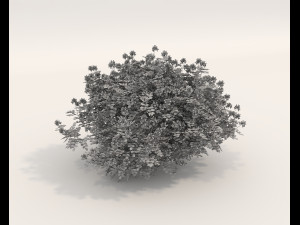 Realistic Shrub Bush Set 4 3D Model