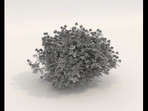 Realistyczny zestaw krzew&oacute;w 4 Model 3D