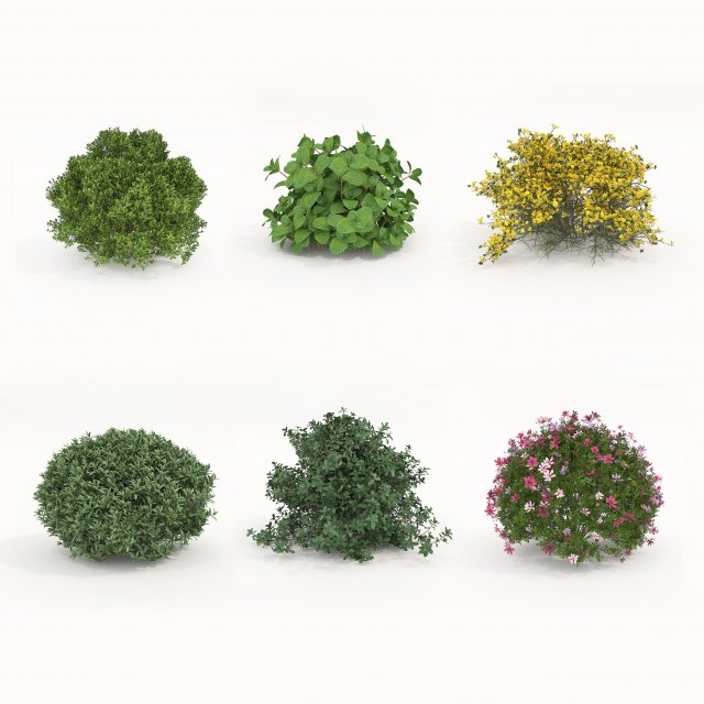 Realistic Shrub Bush Set 5 Modello 3D .c4d .max .obj .3ds .fbx .stl .blend 
